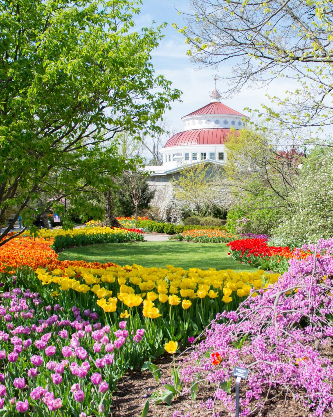 Flower display at the Cincinnati Zoo & Botanical Garden.
