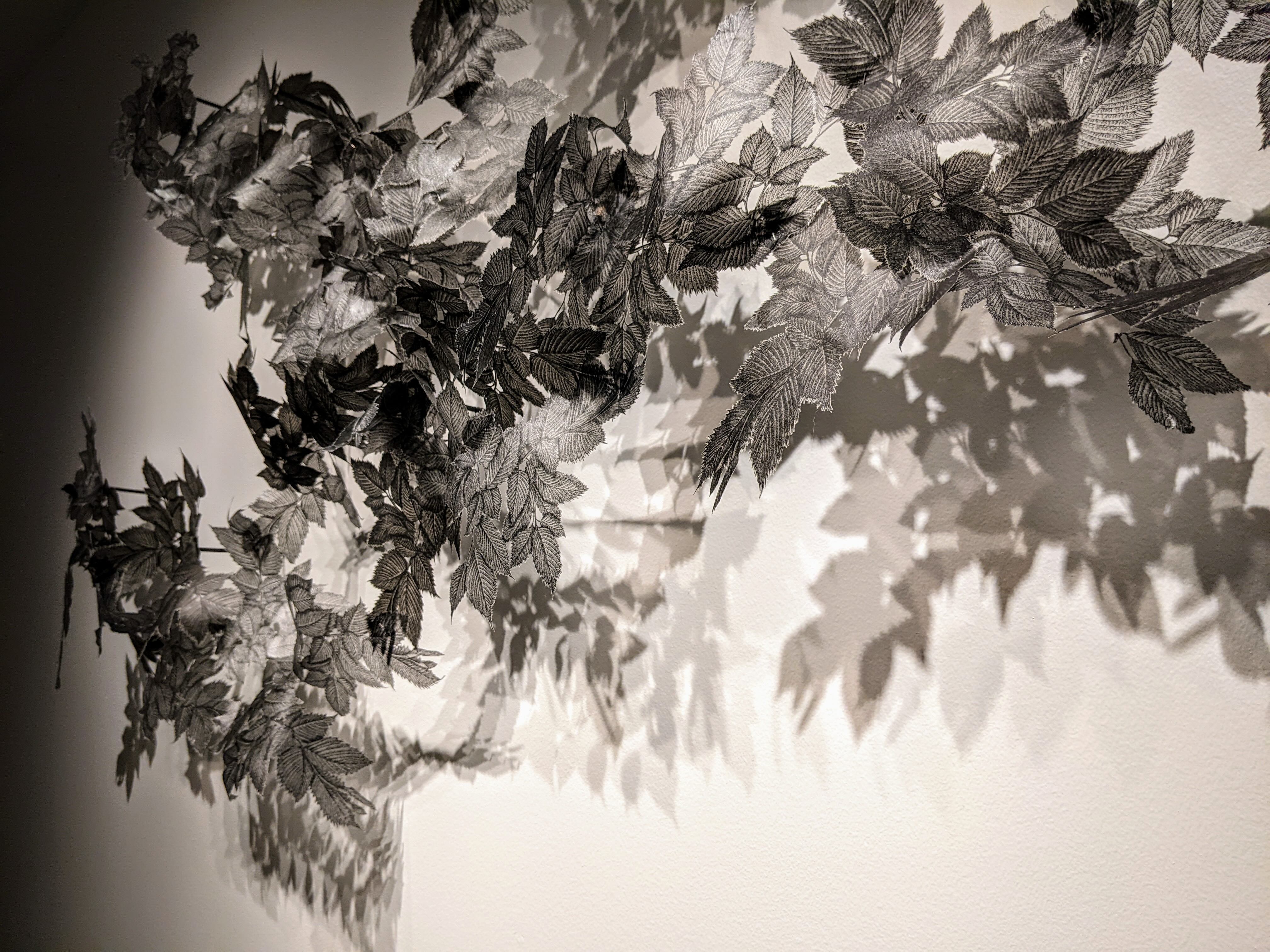 Black and white cut paper sculpture