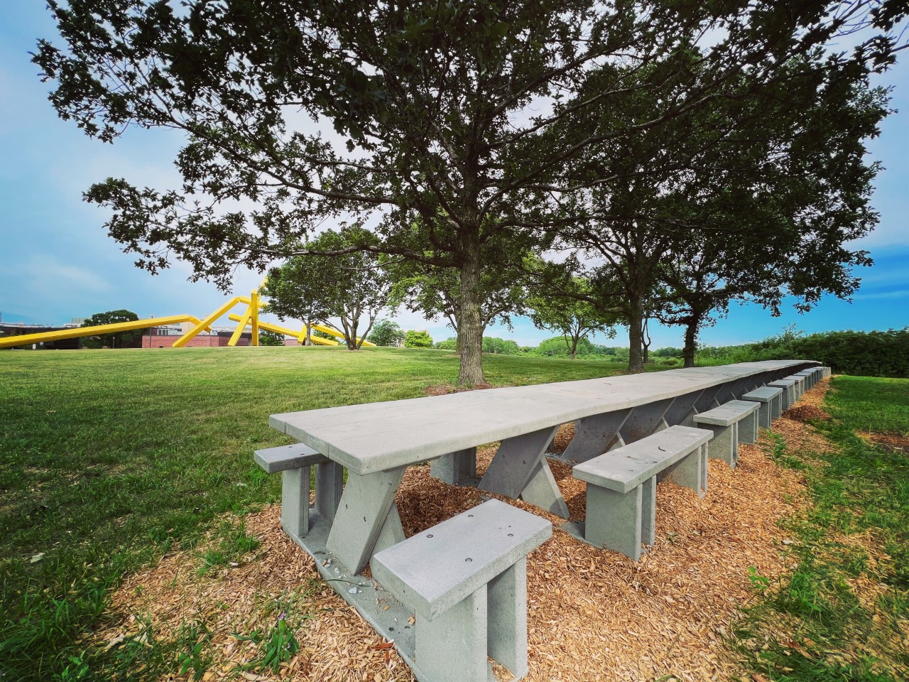 Long outdoor table with tree in the background.
