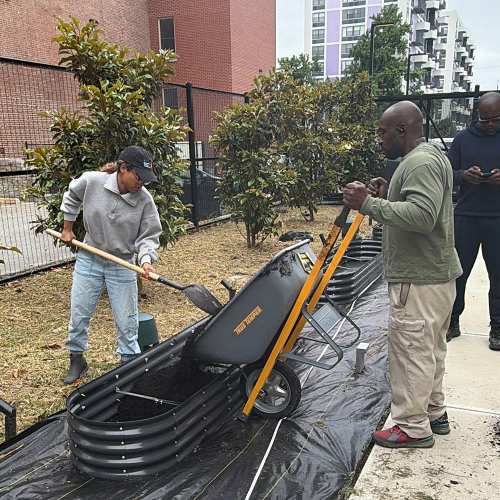Volunteers from Heru Urban Farms working on the patio at 21c St. Louis
