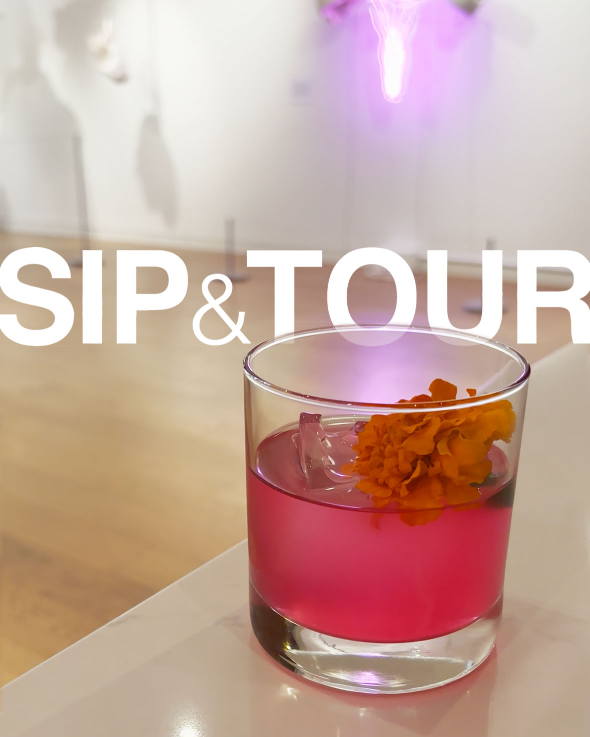 A bright pink cocktail at Sip & Tour at 21c Museum Hotel St. Louis